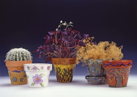 A Passion for Pots