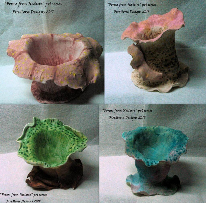 large_Forms_from_Nature_Collage