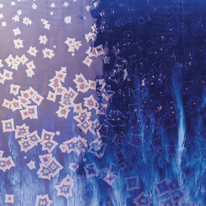 CO-24_BlueStarlight_Square_WEB