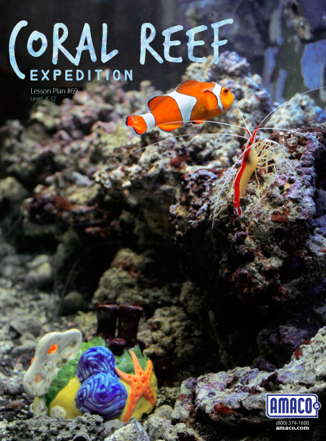 Coral Reef Expedition